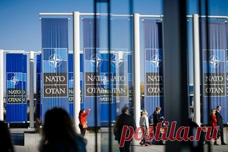 Президент Литвы высказался о существовании лжецов и болтунов в НАТО. Литве не стоит ставить под сомнение деятельность Организации Североатлантического договора (НАТО) и обвинять крупнейшие страны блока во лжи, заявил глава республики Гитанас Науседа. Президент Литвы выступил с речью, реагируя на недавние высказывания министра иностранных дел Габриэлюса Ландсбергиса.