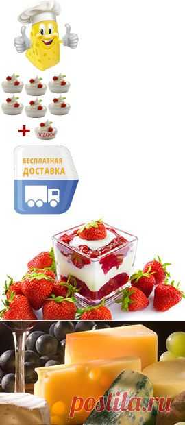 Купить закваску для йогурта, сыра, доставка по всей Украине, самая низкая ценацена