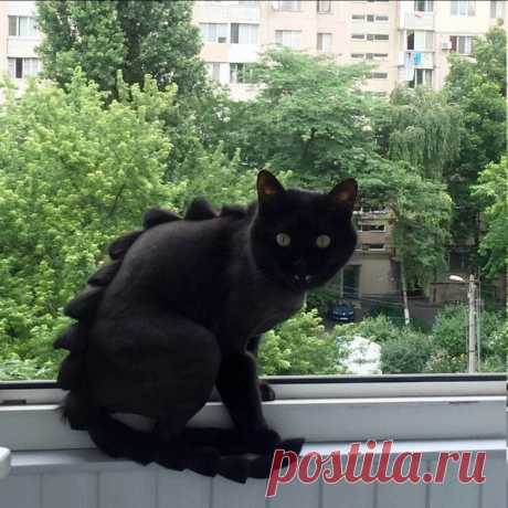 Котзилла