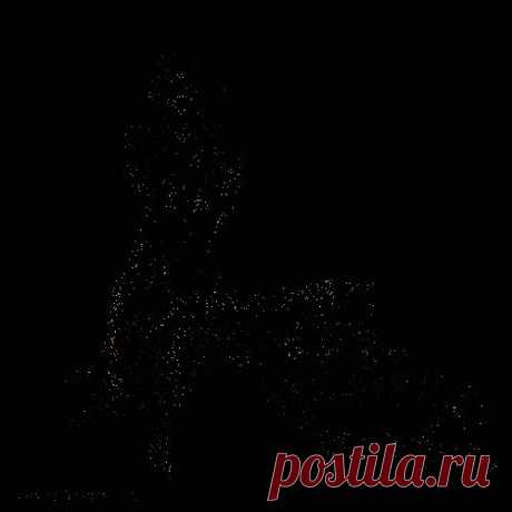Хищники Анимашки, анимационные картинки , анимированные картинки Хищники бесплатные