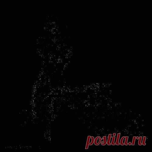 Хищники Анимашки, анимационные картинки , анимированные картинки Хищники бесплатные
