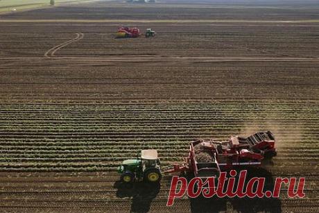 Российский губернатор призвал оснастить всю сельхозтехнику защитой от дронов. Губернатор Белгородской области Вячеслав Гладков поручил аграриям обеспечить всю сельскохозяйственную технику средствами защиты от беспилотников Вооруженных сил Украины. Об этом он заявил во время оперативного совещания с правительством, трансляция которого велась на странице главы региона во «ВКонтакте».