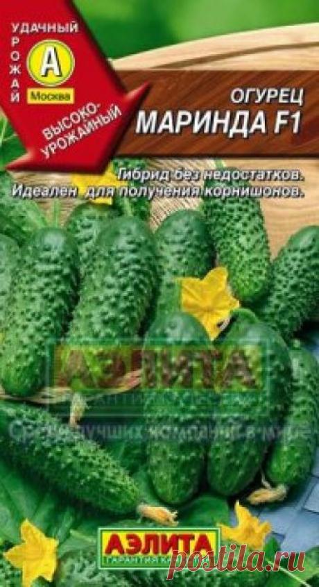Семена. Огурец "Маринда F1", 0.25 грамм Всхожесть: 99%.
Суперпопулярный раннеспелый партенокарпический гибрид голландской селекции для открытого и защищенного грунта, от всходов до плодоношения 45-50 дней. По высокому агрофону гибрид формирует по 6 – 7 завязей в каждом узле, что обеспечивает выдающуюся урожайность (в условиях...