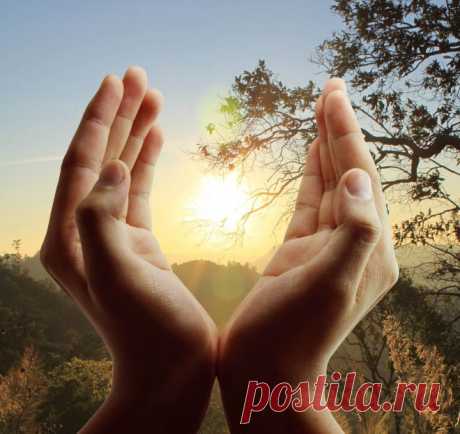 Механизмы самоисцеления - AUM News