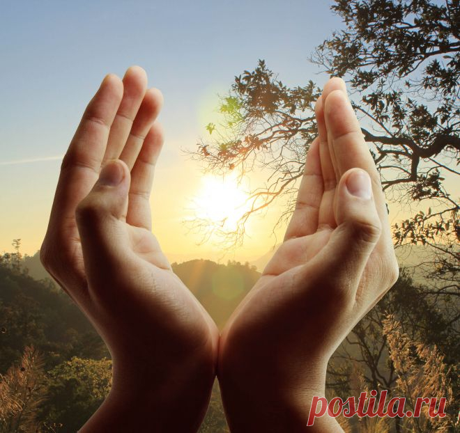 Механизмы самоисцеления - AUM News