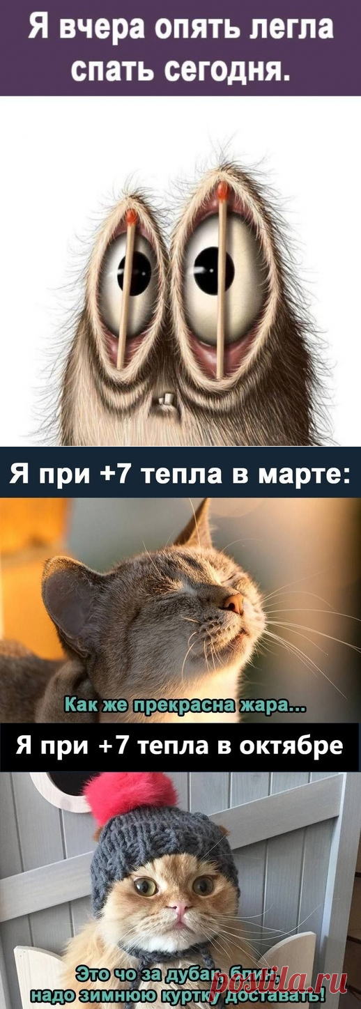 Немного юмора