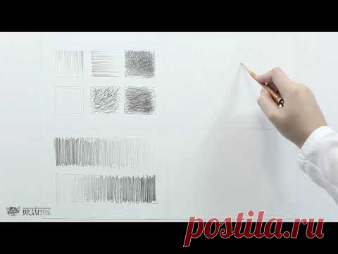 Рисунок карандашом для начинающих  Урок 1