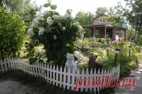 Распространенные ошибки в дизайне сада. Часть 3: аксессуары, зеркала и посадка растений рядами Тема ошибок неисчерпаема. В сегодняшней, заключительной части статьи мы с вами поговорим об увлечении садовыми фигурками, об использовании зеркал, а также затронем проблему организации посадок.
 
Ошиб…