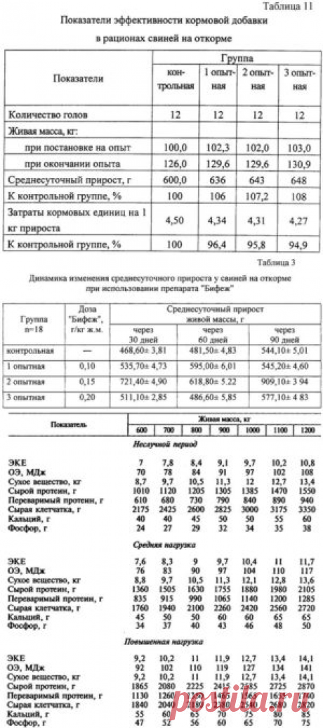 Переваримость и использование питательных веществ рациона молодняком свиней на откорме - БиоКорова