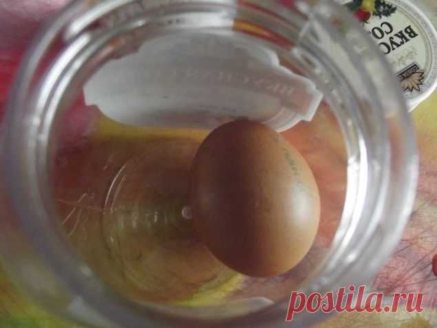 Резиновое яйцо ! - Поделки с детьми | Деткиподелки