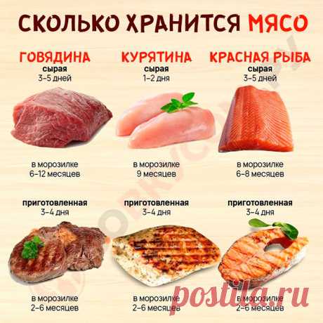 5 мифов о заморозке продуктов, в которые слепо верит 94% хозяек. Ты должна это узнать!