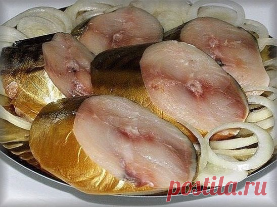 Скумбрия 