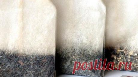 Чем опасен чай в пакетиках и как его правильно пить » NewsMedik - Новости медицины