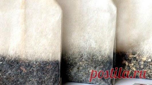 Чем опасен чай в пакетиках и как его правильно пить » NewsMedik - Новости медицины