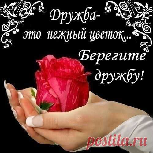 Берегите дружбу!