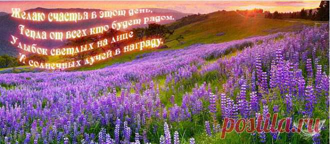 Синий жакет с пуговицами