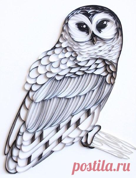 Совы в технике квиллинг