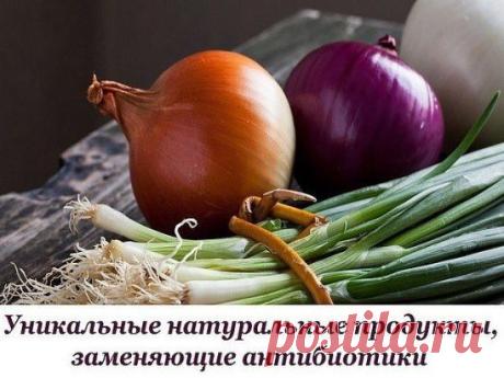 (17) Однокласники