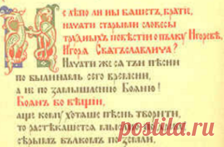 Мыслено древо | Вечный студент