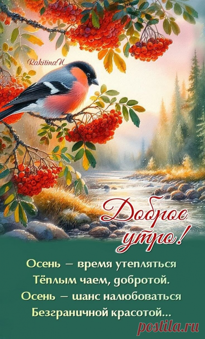 i (736×1214)