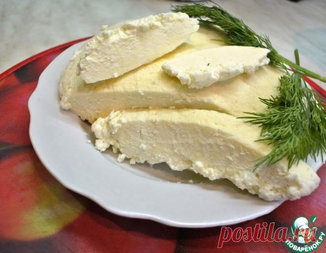 Домашняя брынза без ферментов – кулинарный рецепт