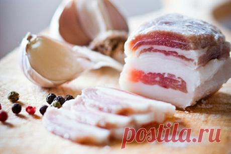 Мифы и факты о сале — Делимся советами