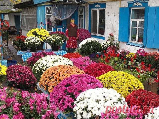 Красивые и оригинальные идеи для дачи 
Всем привет! На улице декабрь, зима как бы. Но посмотрев в окно, думается, что сейчас не зима, а самая настоящая весна. Дождик, переходящий в ливень, везде лужи вместо снега. Даже почки набухли на ку…