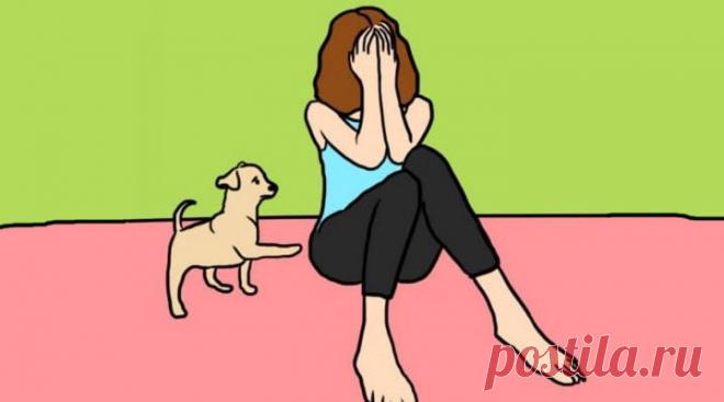 О чем говорят собаки: как понять домашнего питомца — Мания.инфо