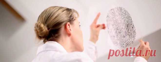 Характер по узорам отпечатков пальцев! | ЖЕНСКИЙ МИР