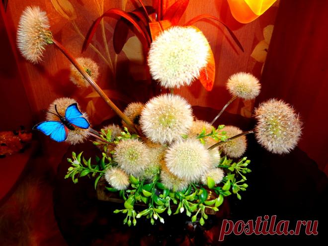 ЖЕНСКИЙ МИР