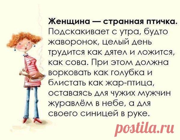 Мой Мир@Mail.Ru