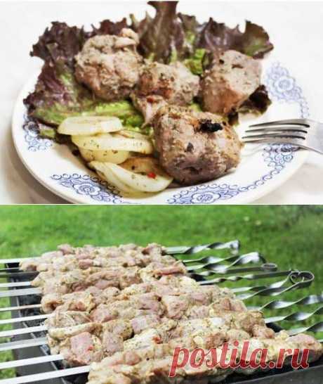 Шашлык из свинины с мятой и киви / Простые рецепты