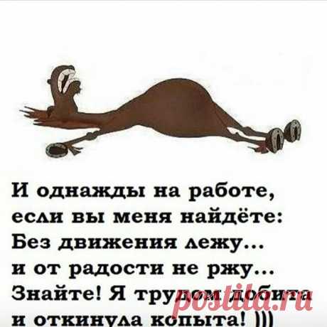 (210) Pinterest