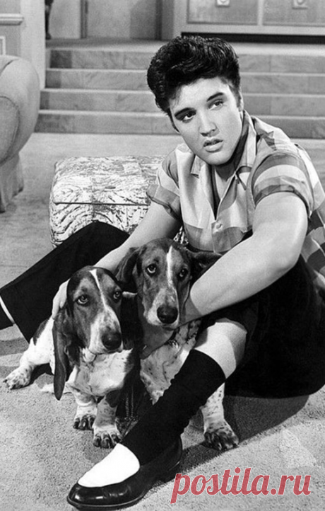 ღВечно молодой: как одевался Элвис Пресли