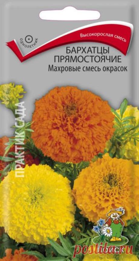Семена. "Бархатцы прямостоячие. Махровые, смесь окрасок", (вес: 0,5 г)
