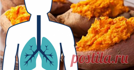 Сладкий картофель для бывших курильщиков: доказано, что ямс борется с эмфиземой и ростом рака легких Обратите внимание!