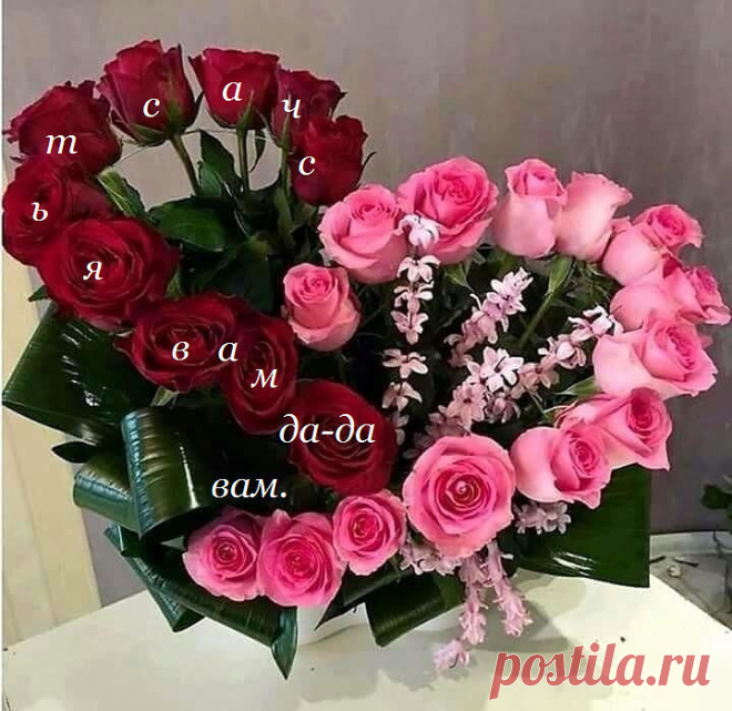 (80) Одноклассники