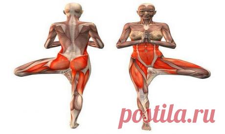 10 УТРЕННИХ УПРАЖНЕНИЙ: 

ПО СВОЕМУ ВОЗДЕЙСТВИЮ НА ОРГАНИЗМ 
ИХ ВПОЛНЕ МОЖНО НАЗЫВАТЬ ВОЛШЕБНЫМИ