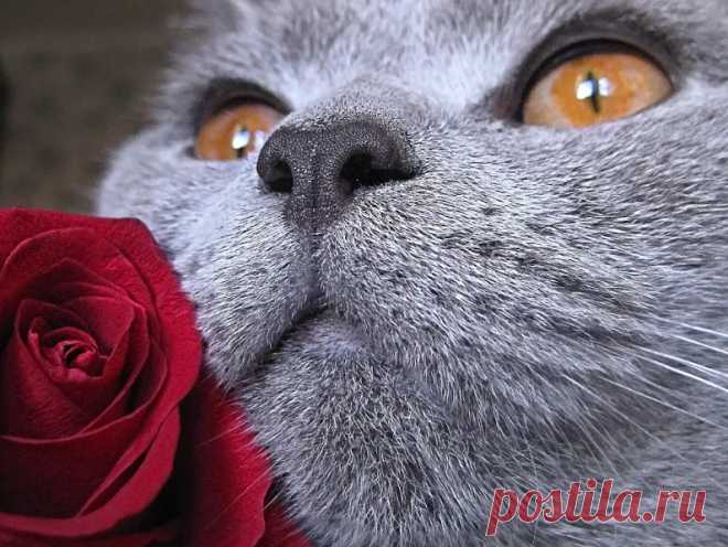 Галина Поштар - Google+