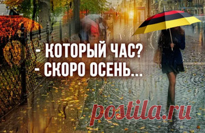 Газовая осень Гемании, запасов нет, паника, «скоро будет» - 24 Августа 2025 - Проектирование газоснабжения