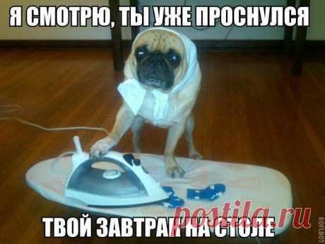 Диалоги