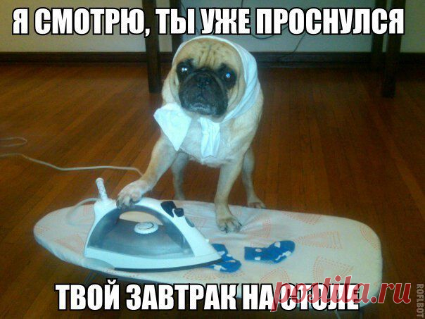 Диалоги