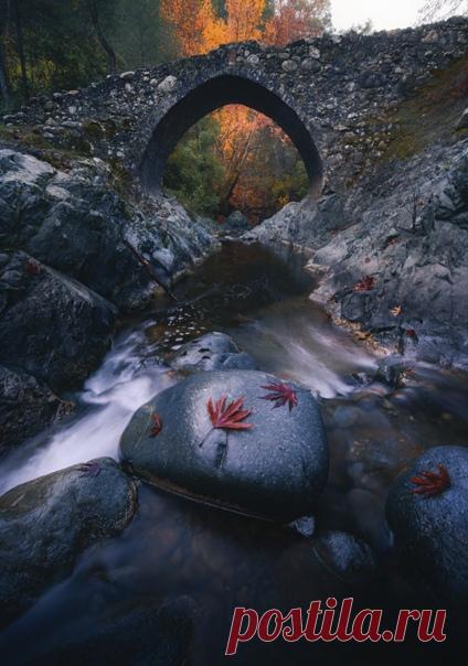 Венецианский мост Элия, Кипр. «Венецианцы добывали в горах Кипра медную руду и вывозили ее через гавань Пафоса, взамен везли золото. Для сокращения расстояния от рудников до гавани через горы были проложены дороги, а над полноводными в то время реками появились мосты» – рассказывает фотограф Евгений Фабисюк. Другие работы автора можно полистать здесь: nat-geo.ru/community/user/192795/