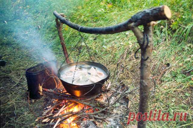 Уха домашняя из башки
