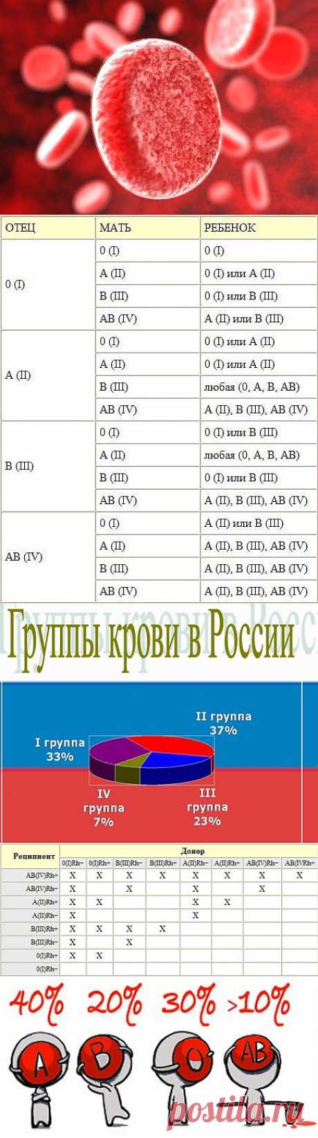 (+1) тема - Интересные факты о группе крови | Занимательный журнал