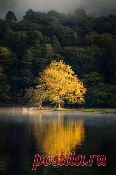 (60) Pinterest • Всемирный каталог идей