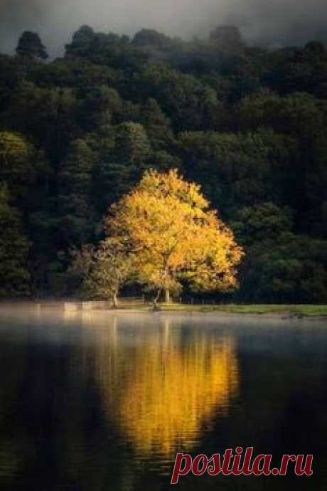 (60) Pinterest • Всемирный каталог идей
