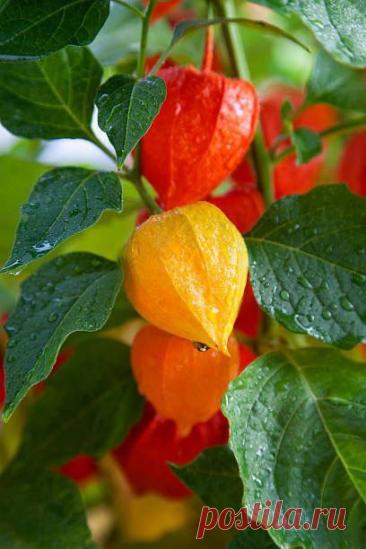 Пин на доске Fall cards handmade