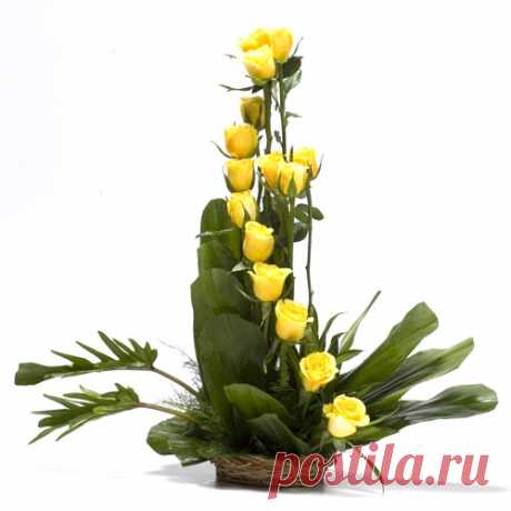 Заказать Путь к вершине c доставкой по Краснодару