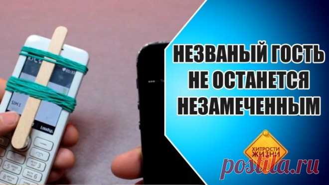 Незваный гость не останется незамеченным
